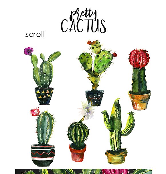 仙人掌水彩剪贴画 Pretty Cactus Watercolor Clipart Set插图5