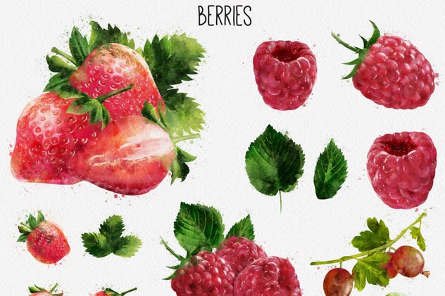 水彩水果&蔬菜插画合集 Watercolor Fruits And Vegetables插图8