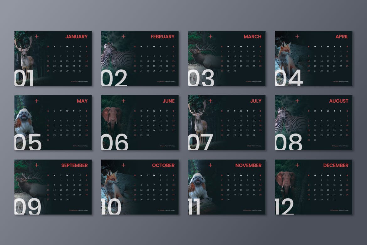 动物摄影主题2020款活页日历设计模板 Calendar 2020插图(4)