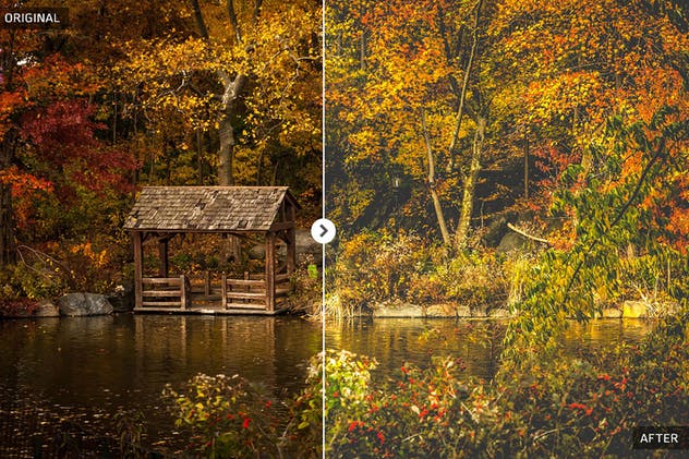 50款秋天氛围照片后期处理调色滤镜LR预设 50 Autumn Lightroom Presets插图1