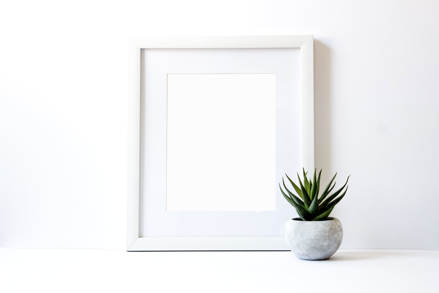 花式白框多肉值物场景样机 Styled White Frame with Succulent插图1
