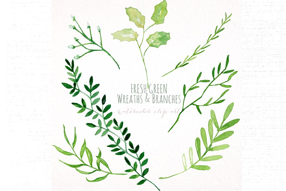 新鲜淡绿色手绘树枝花环剪贴画合集 Fresh green branches & wreath插图2