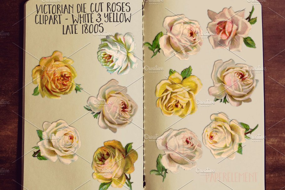 黄色&白色玫瑰花剪贴画 Yellow & White Rose Clip Art Flowers插图