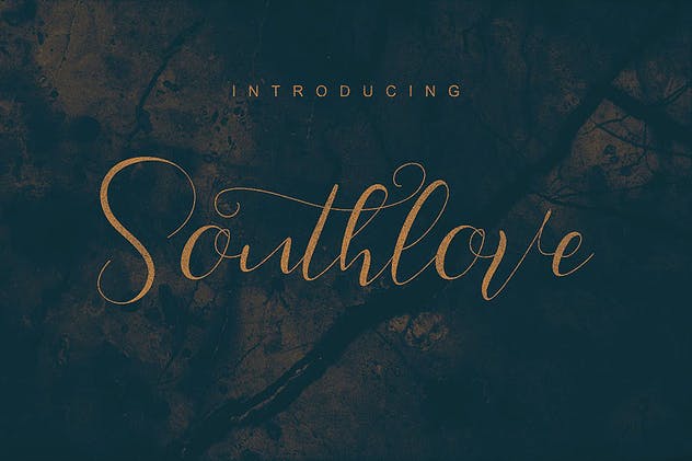 创意手写英文书法字体下载 Southlove Script Font插图4