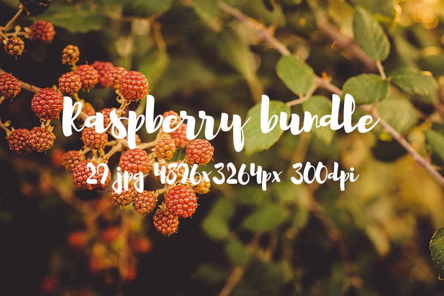 清新自然树莓高清图片素材 Raspberry photo pack插图9