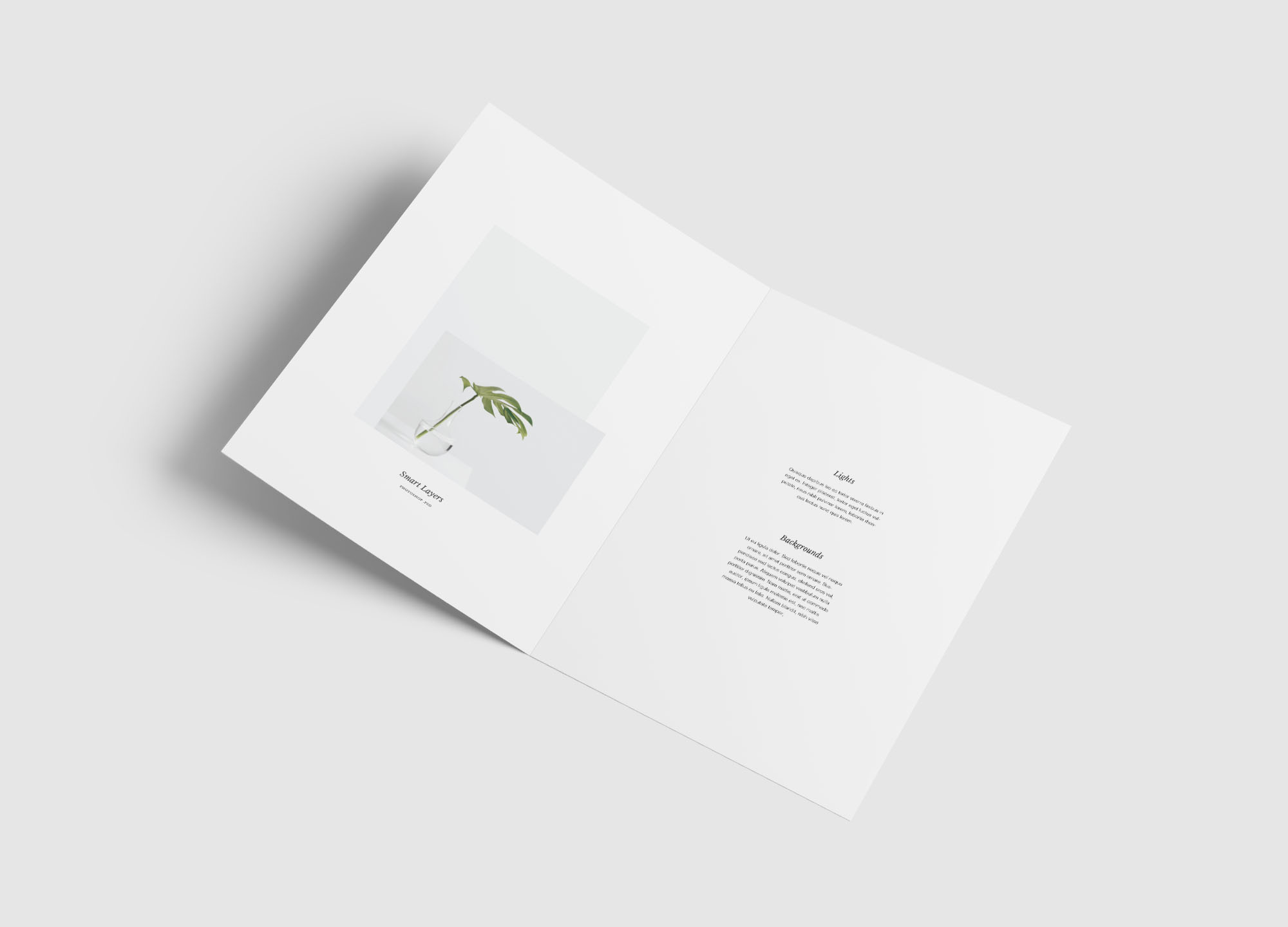 A4尺寸大小双折传单设计内页版式效果图样机模板 A4 Bifold Brochure Mockup插图7