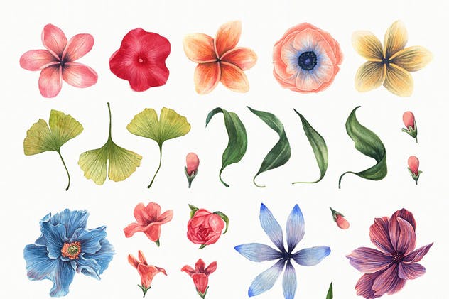 水彩花卉插画元素套装 Watercolor Enthusiast Graphic Kit插图(5)
