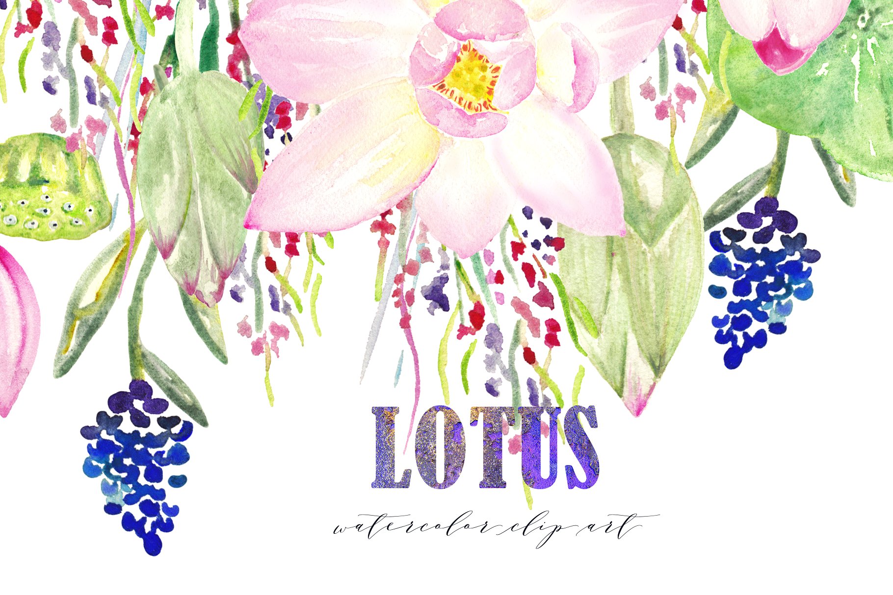 粉色莲花水彩剪贴画 Pink Lotus. Watercolor Clipart.插图1