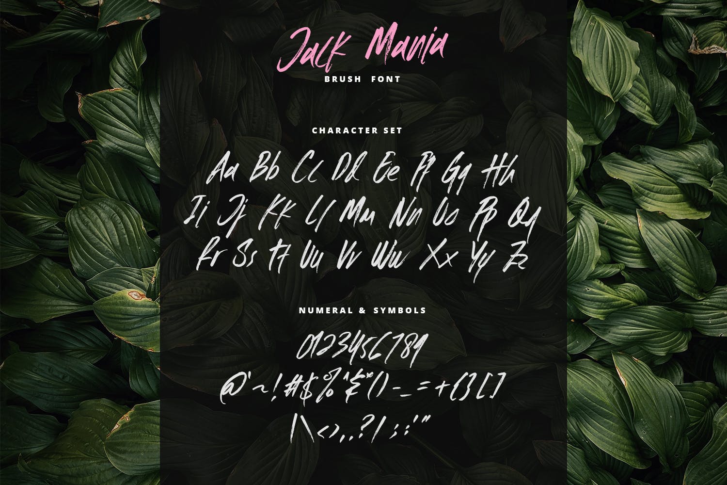 手工绘制英文画笔笔刷书法字体 The JACK MANIA Brush Font插图6