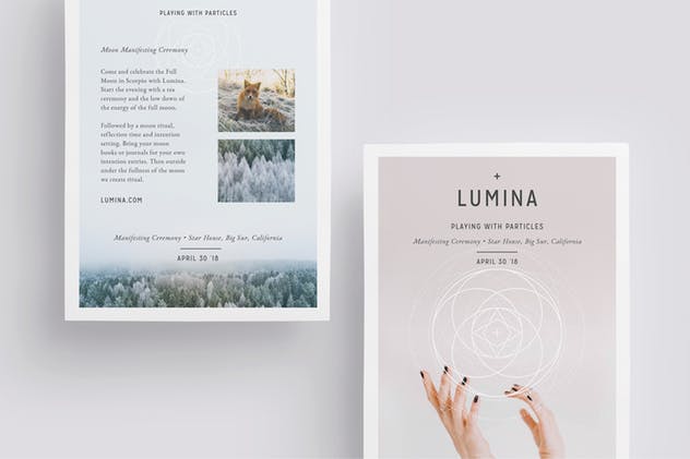 现代朴素设计风格多用途传单设计模板 LUMINA Flyer Template插图(3)