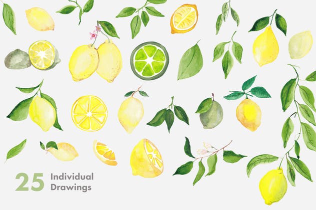 柠檬&酸橙手绘水彩插画系列 Lemons & Limes Watercolor Collection插图(1)