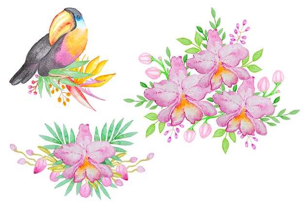 热带主题手绘水彩图案合集 Watercolor Tropical Kit插图(3)
