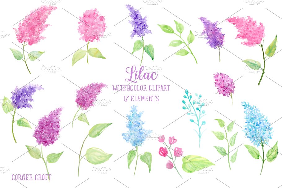 水彩丁香花剪贴画素材 Watercolor Lilac Flowers插图1