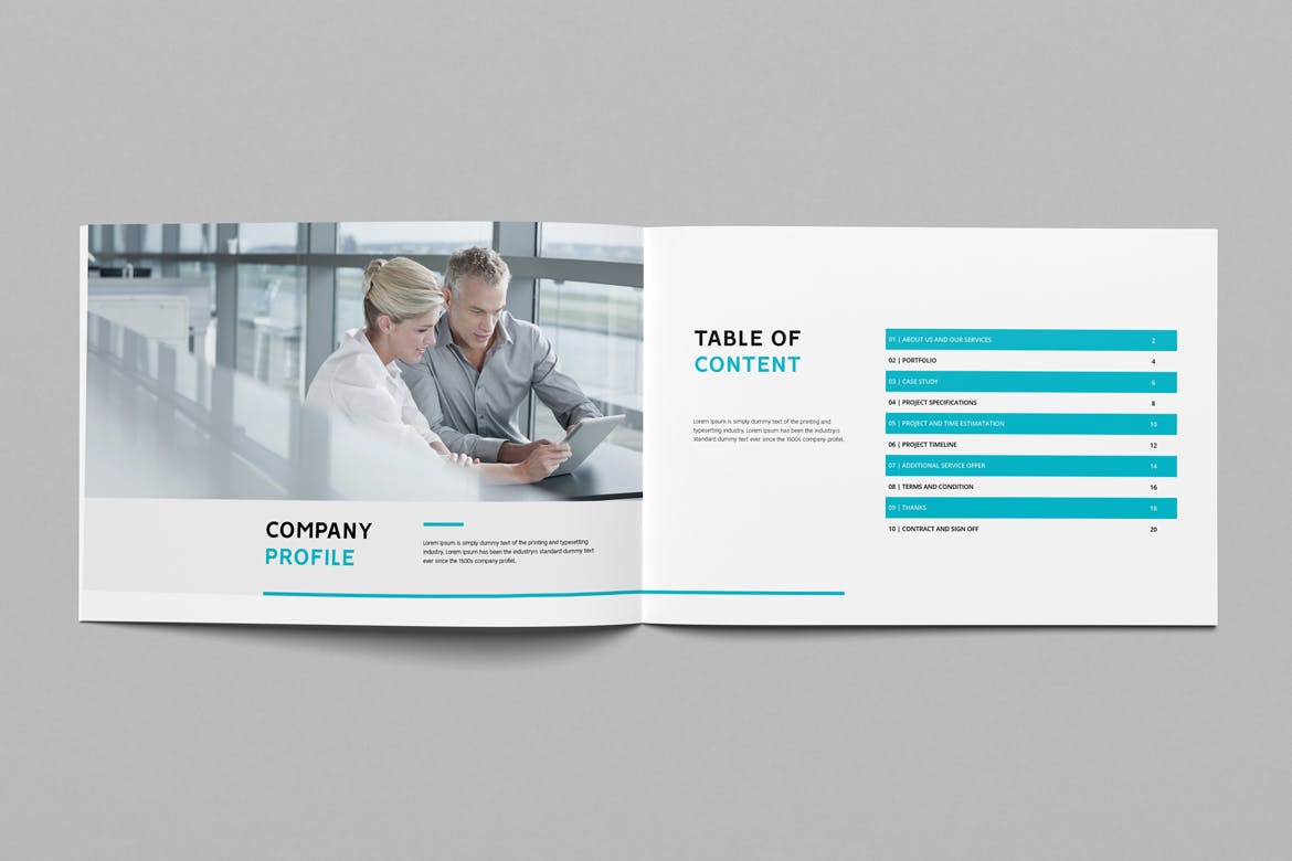 经典风格企业公司宣传画册设计模板 Company Profile Landscape插图(1)