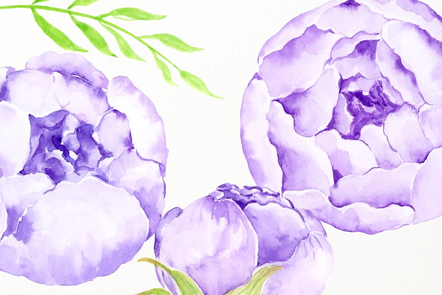 水彩紫丁香花束素材 Watercolor Lilac Peony Bouquet插图(4)