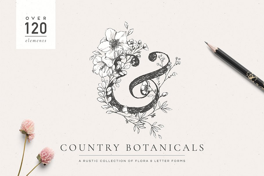 乡土气息植物、手绘字体&花卉字体 Botanical Illustrations & Monograms插图