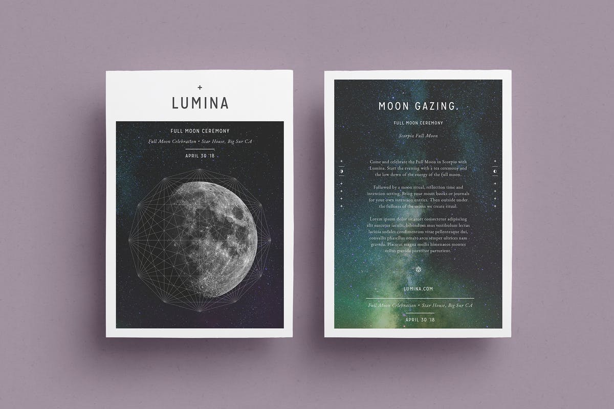 现代朴素设计风格多用途传单设计模板 LUMINA Flyer Template插图