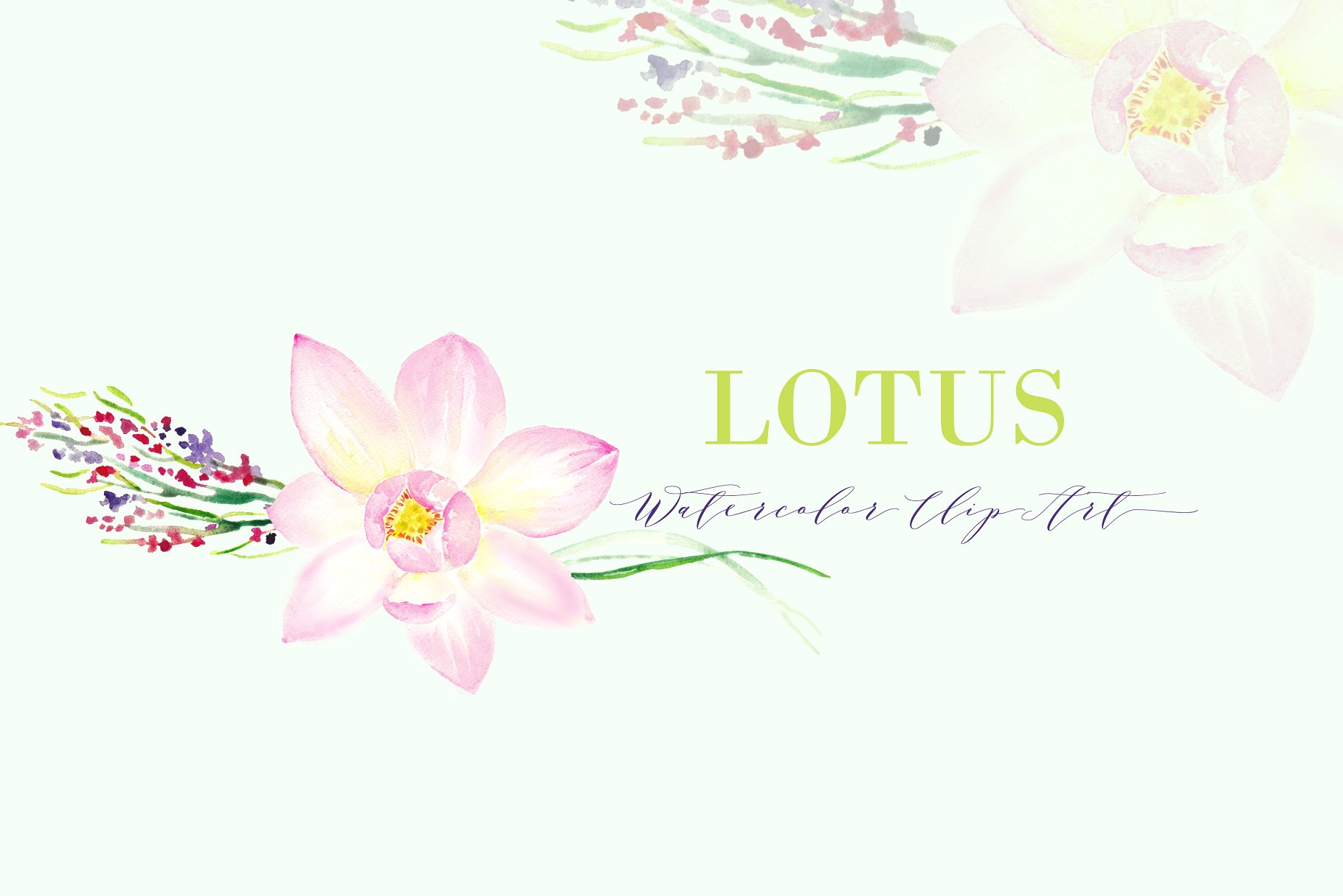 粉色莲花水彩剪贴画 Pink Lotus. Watercolor Clipart.插图2