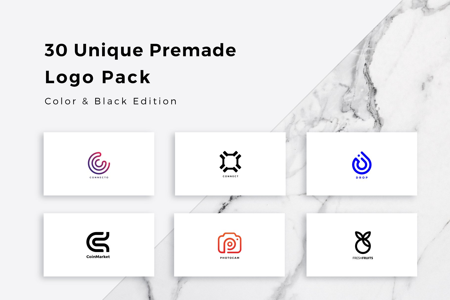 30个独特的预制Logo模板合集 30 Unique Premade Logos Pack插图