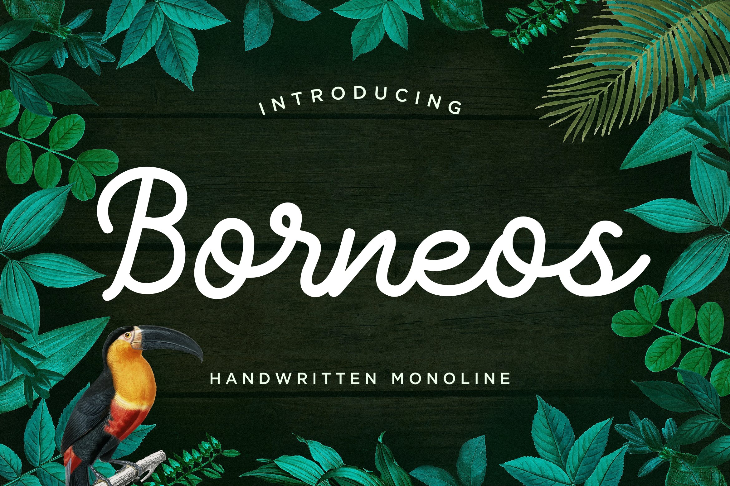 Monoline手写风格英文字体下载 Borneos – Monoline Handwriting插图