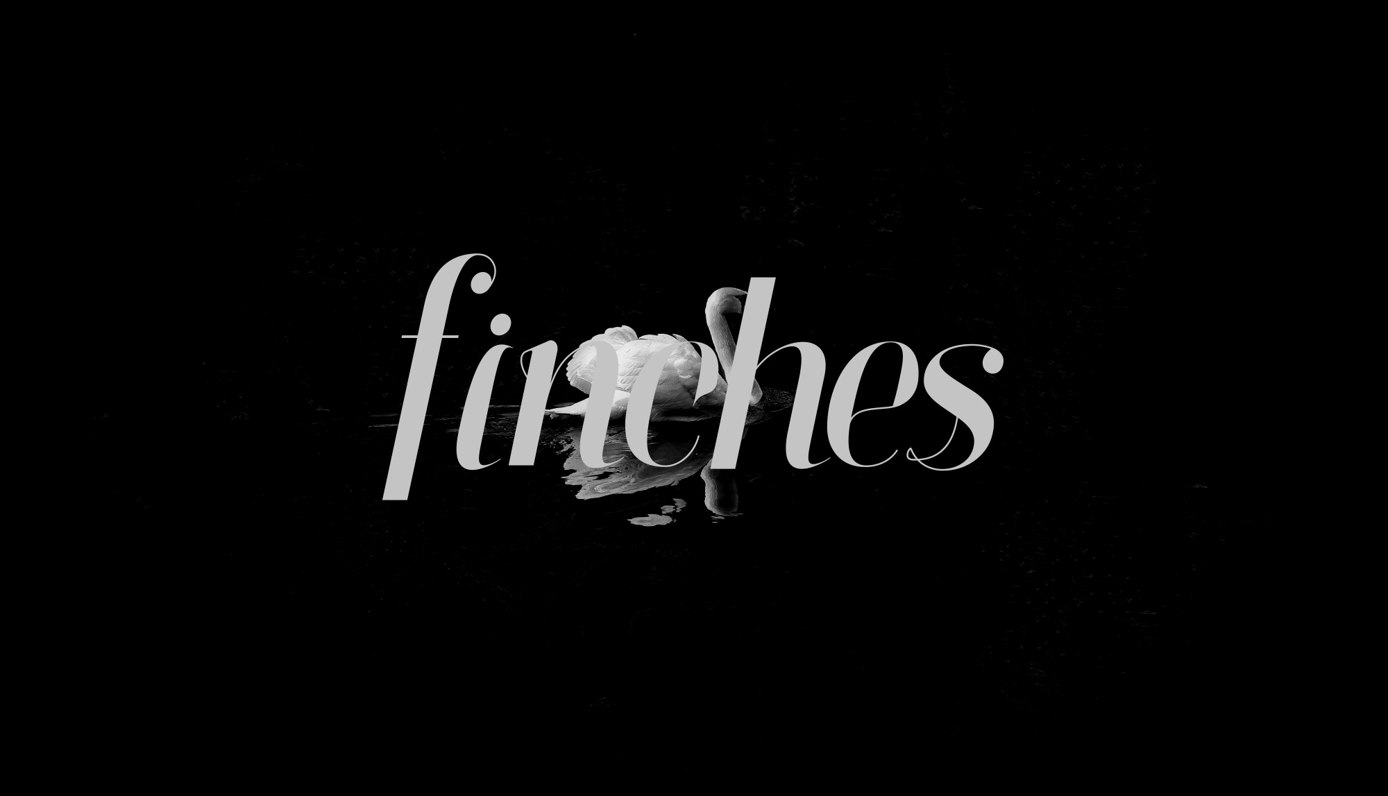 雅致设计风格英文衬线斜体字体 Finches Serif Italic Font插图