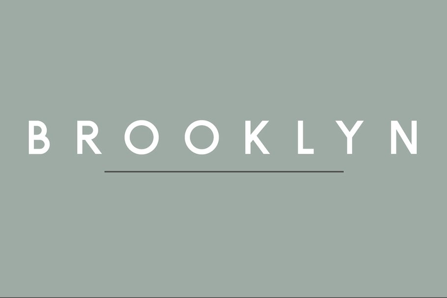 正体适合书面印刷排版的无衬线英文字体 Brooklyn | Two Weight Font Family插图(7)