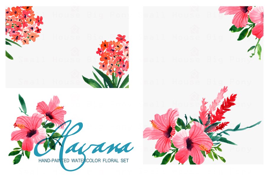 水彩花卉艺术剪贴画 Havana- Watercolor Clip Art插图2