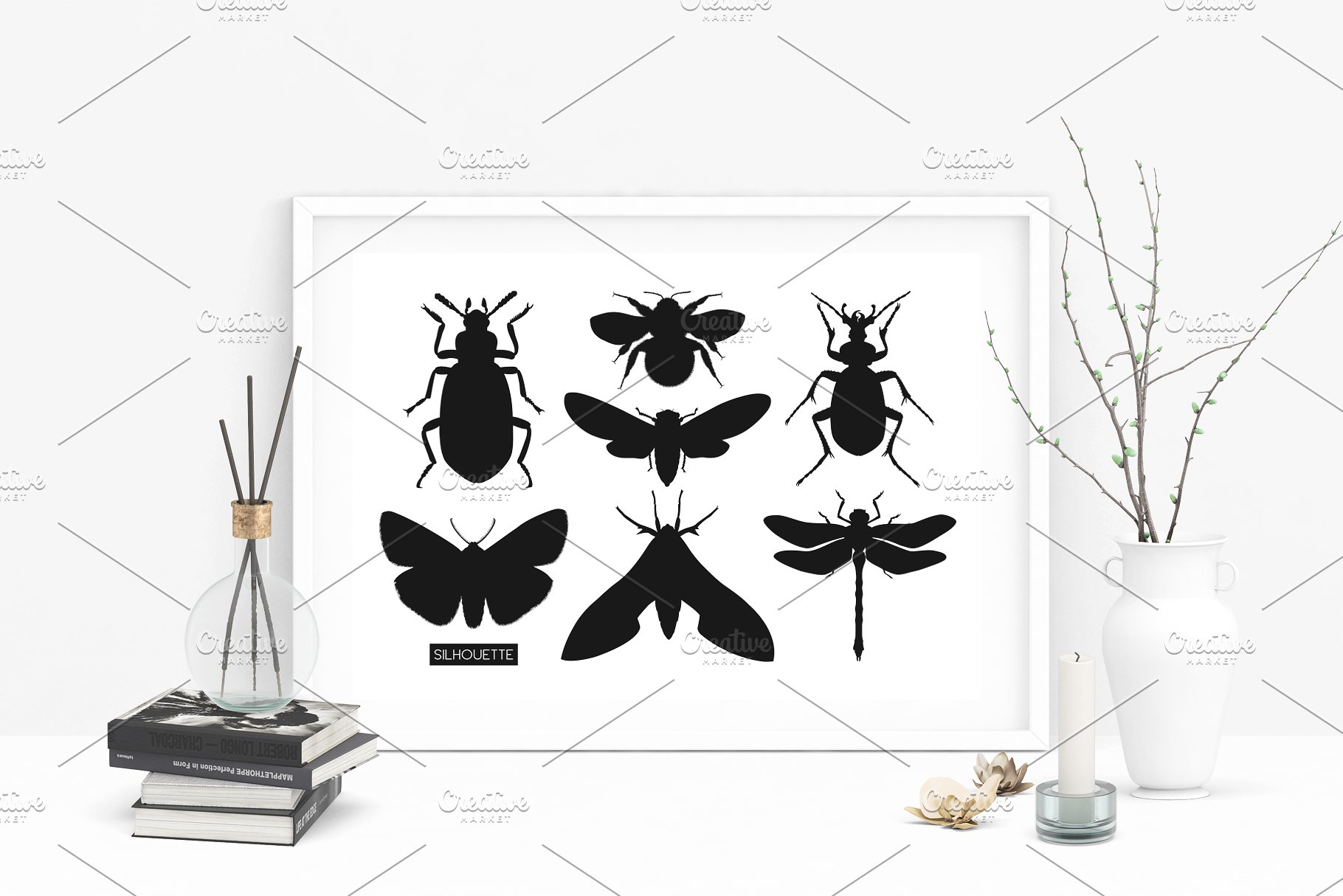昆虫矢量插图集 Vector Insects Illustrations Set插图11