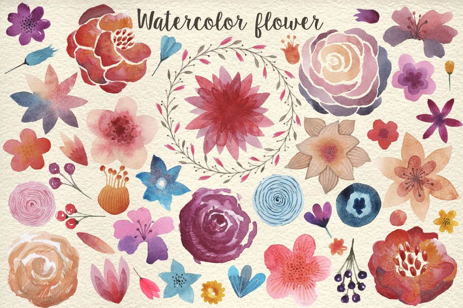 159朵清新手绘水彩花卉插画 159 Watercolor flowers & florals Pro插图(1)