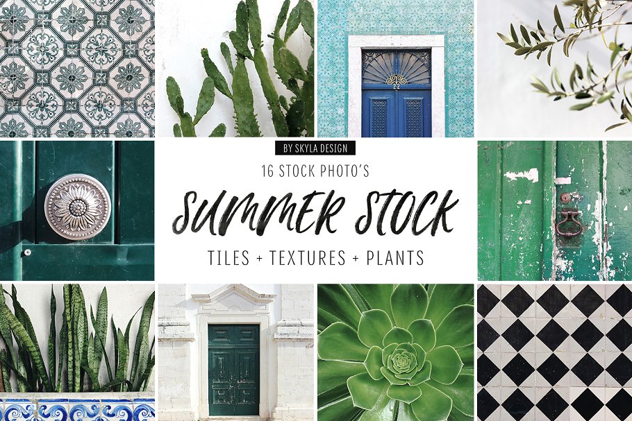 炎炎夏日植物主题场景样机 Summer stock, texture, tiles, plants插图