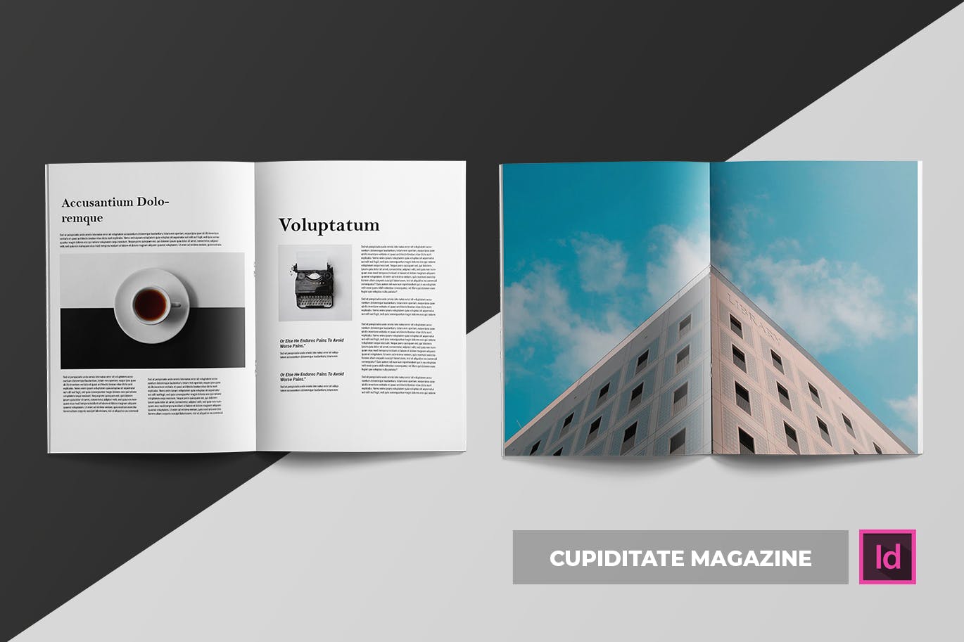 建筑/摄影/设计主题杂志设计模板 Cupiditate | Magazine插图(5)