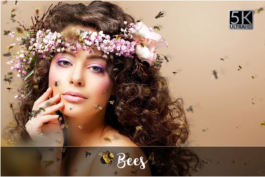 5K高清分辨率蜜蜂叠层背景素材 5K Bees Overlays插图