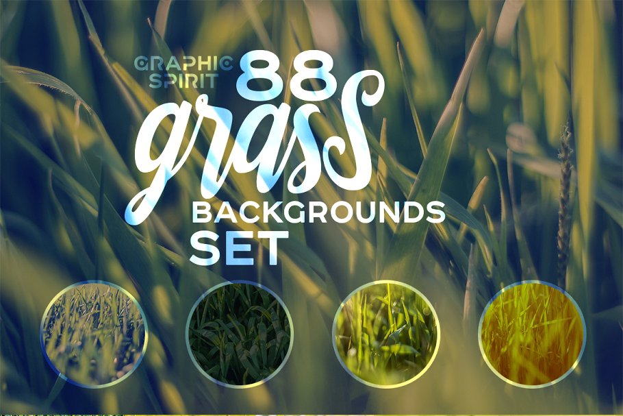 象征生命的绿色植草高清照片素材 Cute Large Grass Backgrounds Natural插图