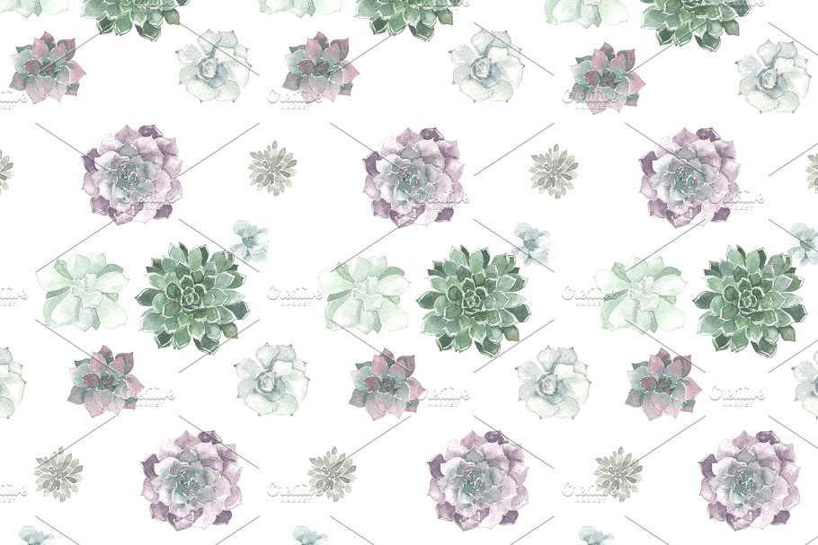 多肉花卉水彩插画 Watercolor succulent pattern插图