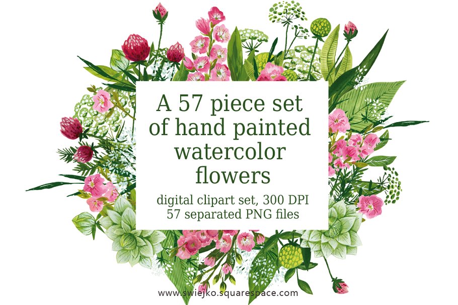 57种手绘花卉和叶子插画 Watercolor flowers, painting插图