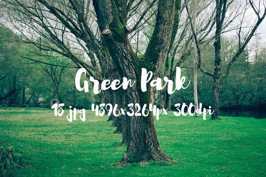 生机勃勃的公园景象高清照片素材 Green Park bundle插图(3)