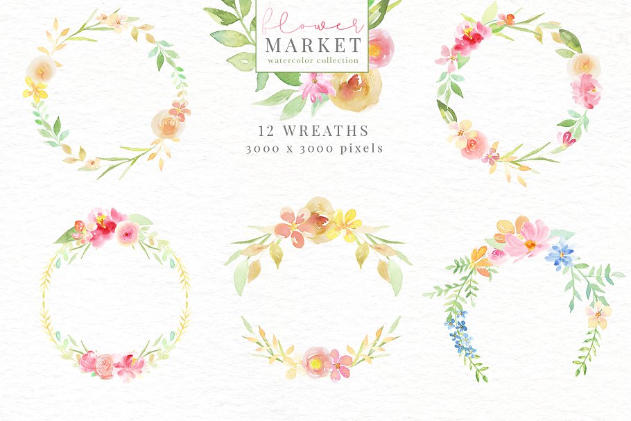 花卉市场水彩素材收藏[1.15GB] Flower Market Watercolor Collection插图(4)