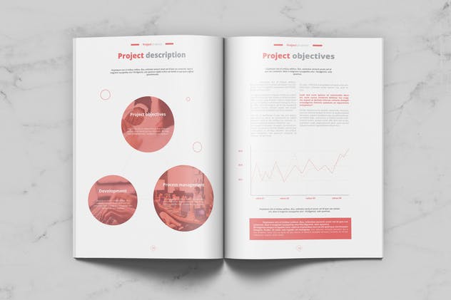 商业项目计划书/提案设计模板 Project Proposal插图2