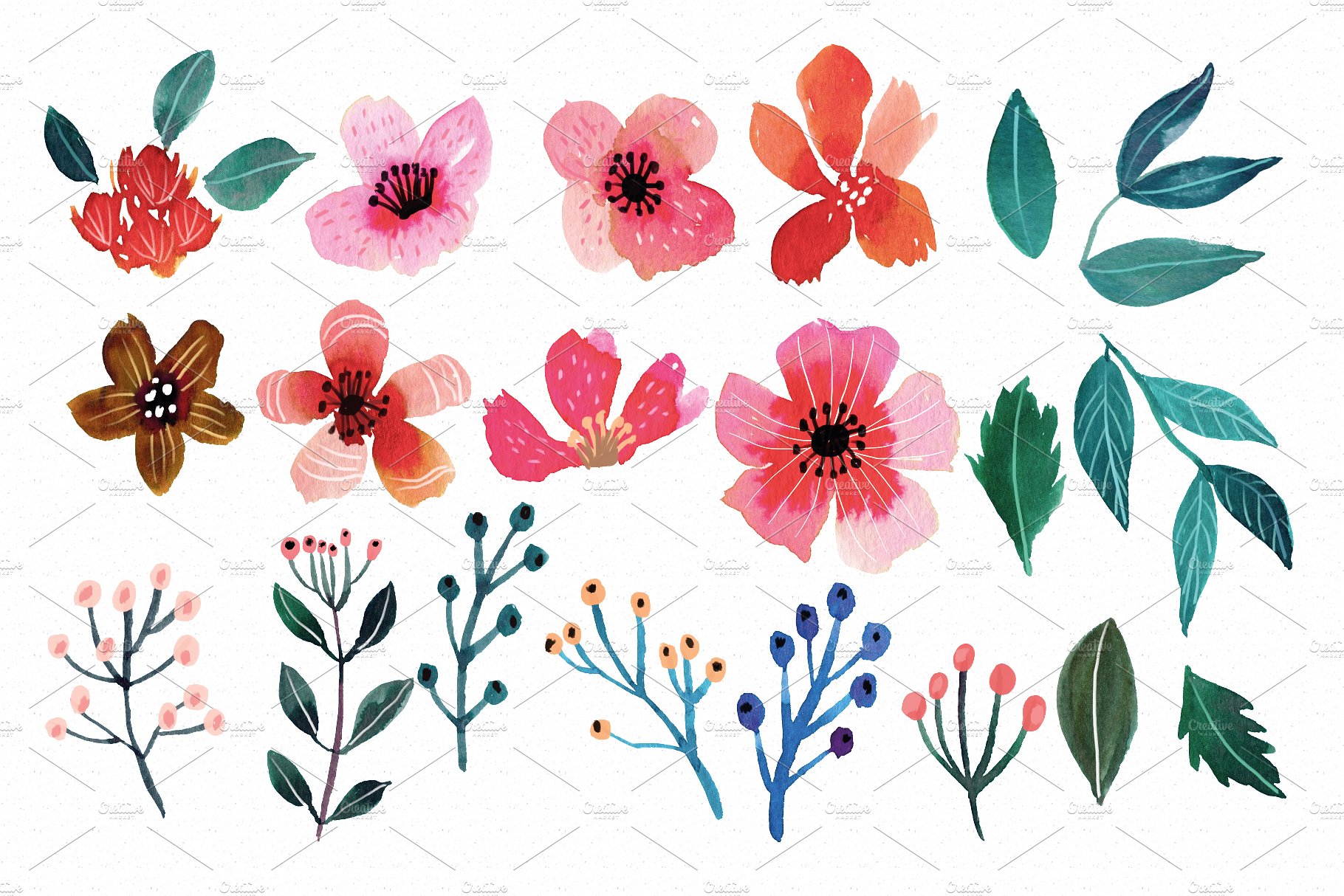 艳丽野花水彩插画集 Wildflowers Watercolor Collection插图(2)