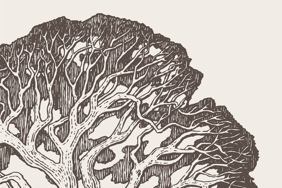 老橡树素描矢量插画 Illustration of an old oak tree插图(4)