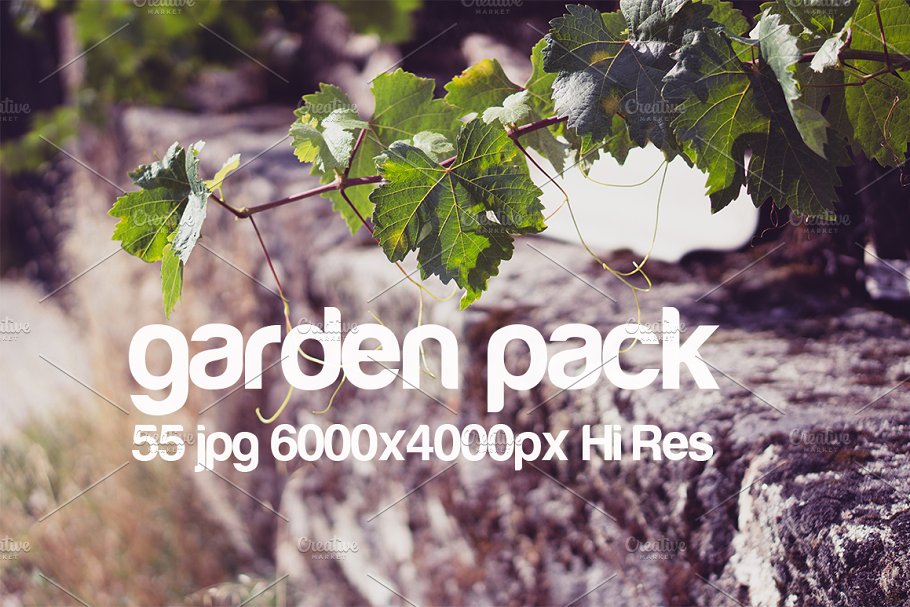 花园取景高清照片素材 garden park photo pack插图(2)