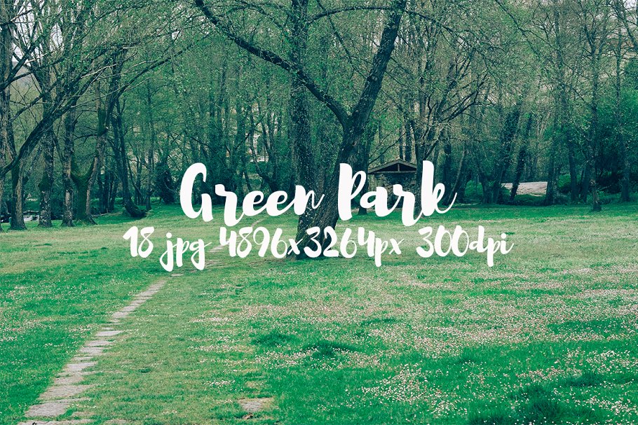 生机勃勃的公园景象高清照片素材 Green Park bundle插图(16)
