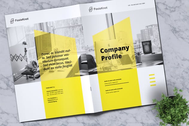 24页公司简介宣传册画册设计模板 FOXIEKNOT – Company Profile Brochure插图13