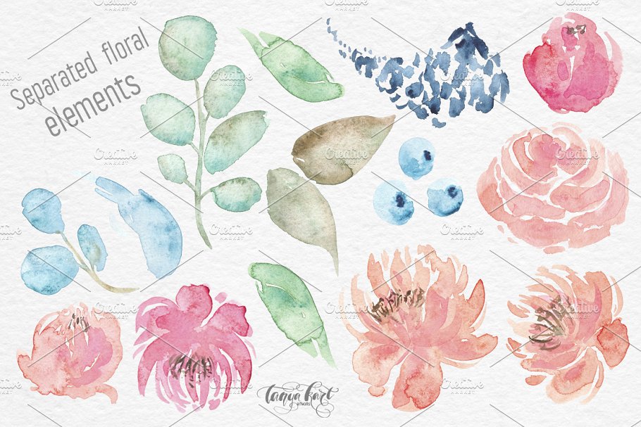 水彩动物和花卉剪贴画 Watercolor Animals, Flowers Clipart插图2
