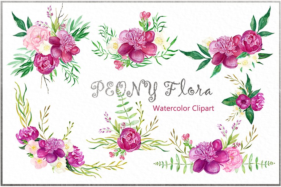 牡丹花丛水彩花卉剪贴画 Peony flora watercolor flowers插图(4)