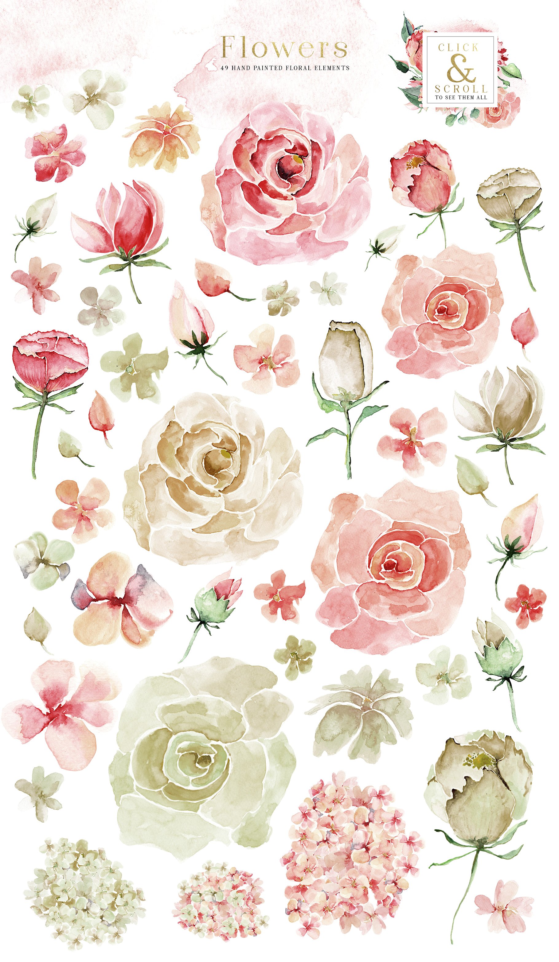 胭脂红玫瑰水彩剪贴画 Creme & Rose Watercolor Set插图8