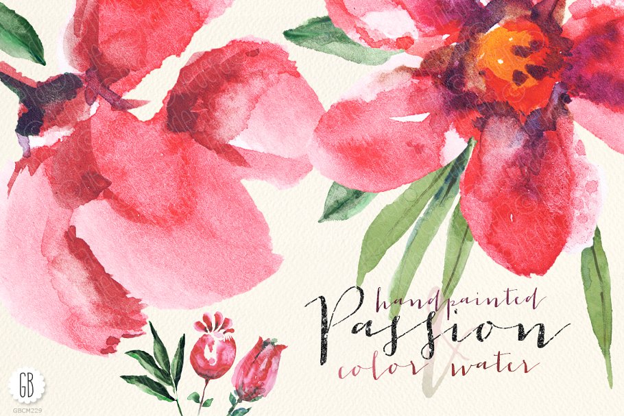 半透明红色花卉水彩剪贴画 Aquarelle watercolor red flowers插图