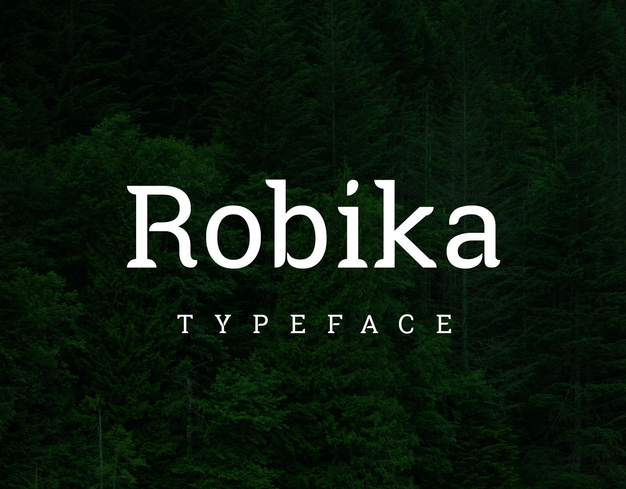 带有独特圆角英文衬线字体 Robika Serif Typeface插图