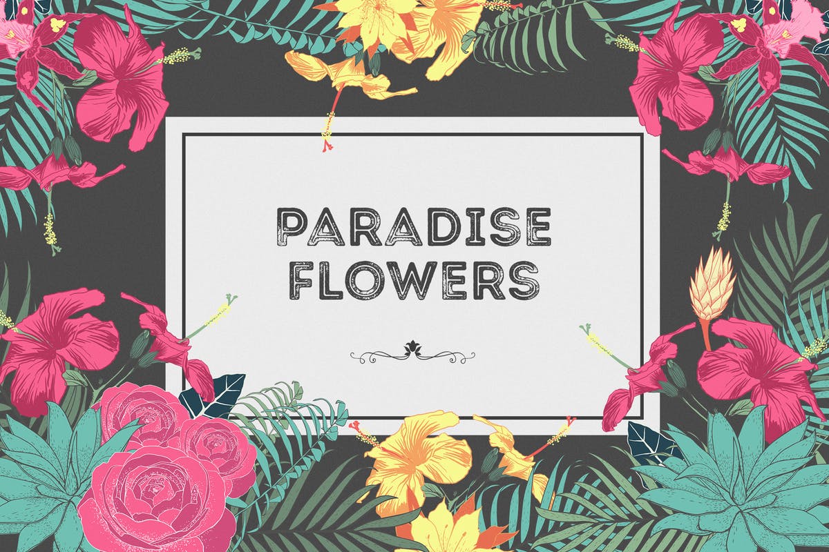 热带花卉和花束手绘插画素材 Paradise Flowers插图