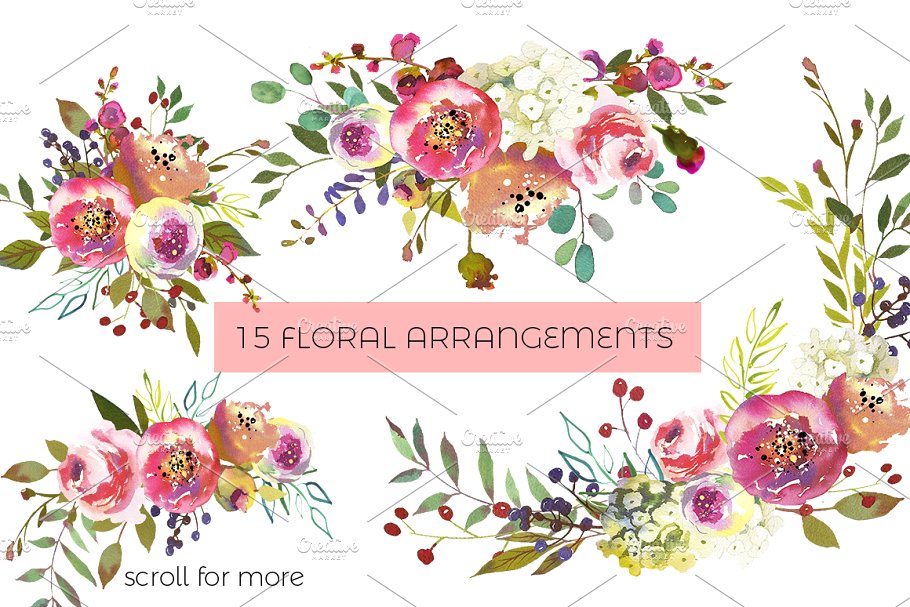 桃色牡丹水彩花卉套装 Peach Peonies Watercolor Flowers Set插图